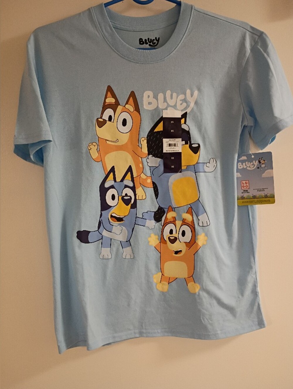Bluey Light Blue Short-Sleeve Kids Tee - Bluey Graphic